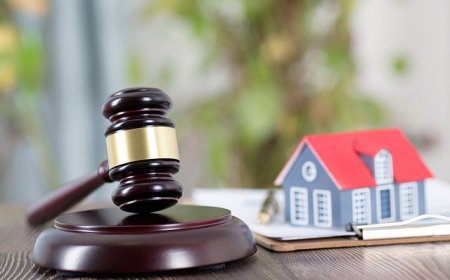 跨境遗产继承频陷“马拉松式困局”，哪些堵点有待突破？