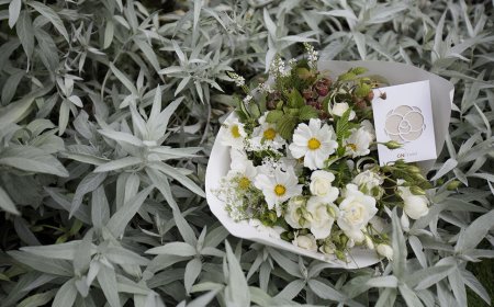 七夕優惠DREAM PLAZA滿5千送200　宏匯廣場最高省12%