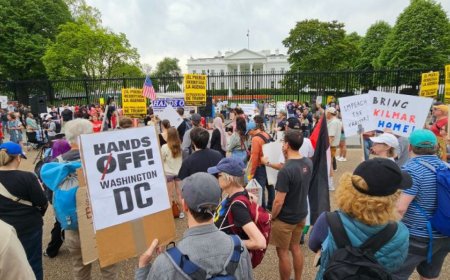 华盛顿究竟发生了什么？