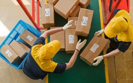 广东浙江快递费上调，政策推动行业反内卷