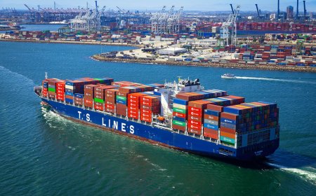 德翔海運H1淨利年增約222%　航線拓展至拉美、自有船增至約七成