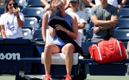 Two-time Wimbledon champion in tears on court as she retires at US Open