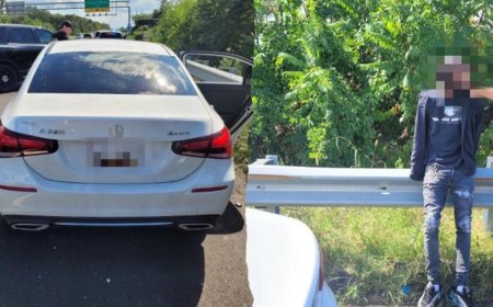 CBP agents foil carjacking suspect in Washington DC as Trump makes city 'safe and beautiful'