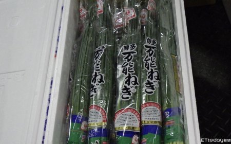 食品大廠「金車」進口中國八角粉　檢出致癌蘇丹色素