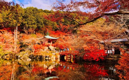 日本高溫破紀錄「賞楓期恐延後」　氣象專家：櫻花季也會縮短