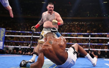 Andy Ruiz Jr reunites with trainer who masterminded stunning Anthony Joshua upset