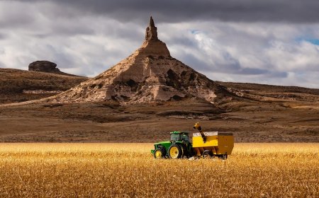 Agriculture is the answer to America’s junk food crisis