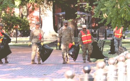 DC launches ‘We the People’ campaign while National Guard patrols streets, picks up trash