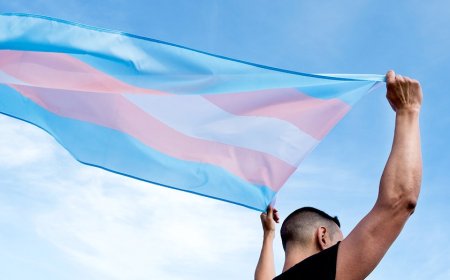 Judge dismisses Wyoming sorority case on transgender member, citing 'expansive' definition of woman