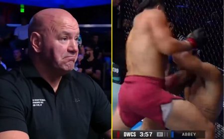 Dana White offers 5ft 8in heavyweight UFC contract after brutal 64-second KO over towering foe