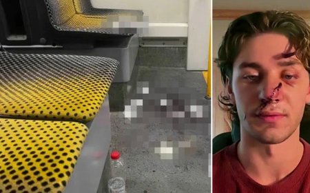 American stabbed defending women on German tram criticizes immigration policies after suspect released