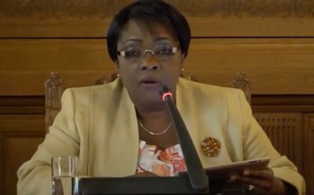 国际法院法官塞布廷德为何面临退出以色列种族灭绝案的呼声