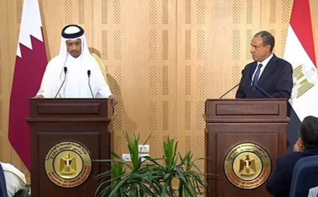 卡塔尔和埃及决心在加沙实现停火