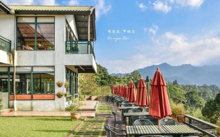 宛如置身瑞士鄉村！綿延山林不見盡頭　隱身桃園還有沙拉吧吃到飽