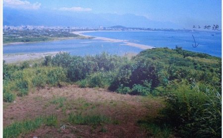 機會難得！42萬原保地法拍限時搶標　2200萬花蓮買半個山頭