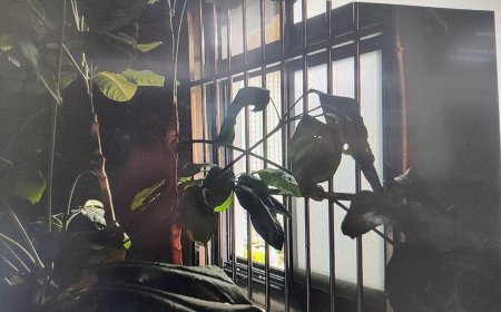 桃園騎自行車到鶯歌闖空門　發現備用鑰匙！偷走2.5萬紅包錢　