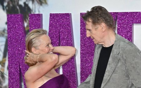 Pamela Anderson And Liam Neeson’s Alleged PR Romance Denied By Sources