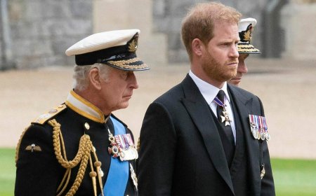 Prince Harry To Focus On Charity Work After Allegedly Hitting 'Rock Bottom' As Royal Family Reconciliation Looms