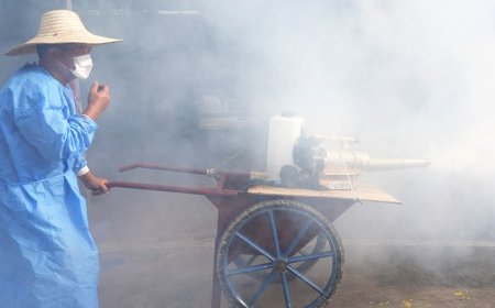 CDC warns of 'enhanced' virus risk for travelers amid outbreak spread by mosquitoes