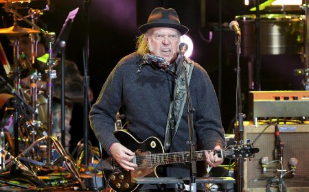 White House rips new Neil Young song slamming Trump's DC crime crackdown as 'cringe'