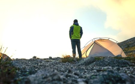 Human plague case reported; patient likely exposed while camping