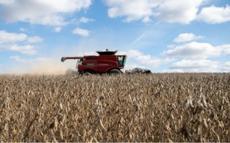 用大豆“拿捏”特朗普选区基本盘，还有效吗？