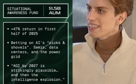 被 OpenAI 开除的 00 后搞投资，回报率达华尔街平均水平 700%