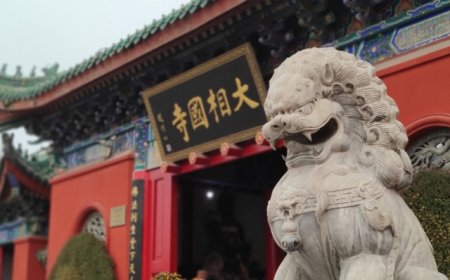 地方新闻精选 | 开封大相国寺否认“僧人受伤被赶出寺庙” 东北虎“完达山一号”再次现身