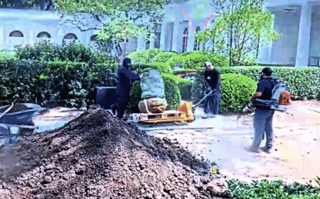 White House security footage reveals Rose Garden stone damage allegedly caused by subcontractor equipment