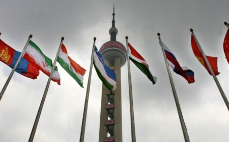 上合组织峰会在中国举行：谁将出席？特朗普关税政策下，有何利害关系？