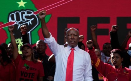 南非反对派领袖马莱马为何再次因“仇恨言论”被定罪？