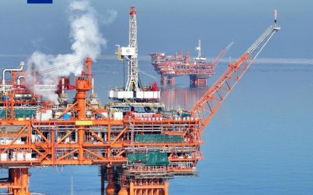 我国成为全球首个实现海上稠油规模化热采开发的国家