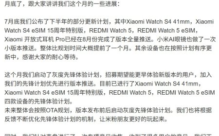 小米张雷：穿戴类设备未来整体会按照 OTA 规划，版本发布前后启动灰度先锋体验计划