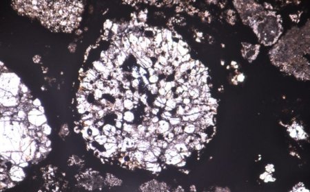 陨石里藏着“小液滴”，科学家靠它算出木星出生日期