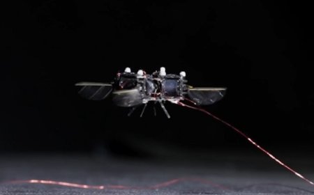 MIT 研发蜂型机器人，每秒振翅 400 次，未来或用于火星授粉