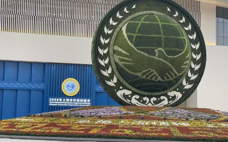 閱兵前「上合峰會」先登場　陸專家：將強調維護二戰以來國際秩序