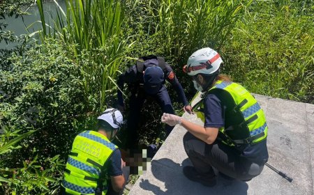 花蓮8旬婦跌落海濱草叢！俯臥烈日曝曬3小時　警循聲及時救命