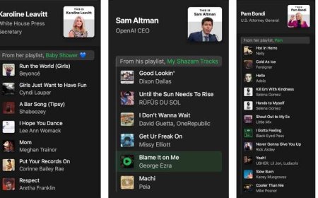 Anonymous researcher exposes politicians' hidden Spotify playlists, including Vance, Leavitt and Bondi