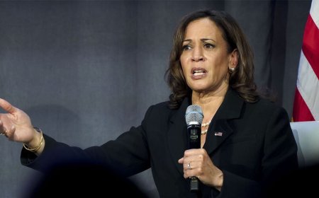 Democrats need to grasp new media or they will lose 2026, warns progressive podcast host