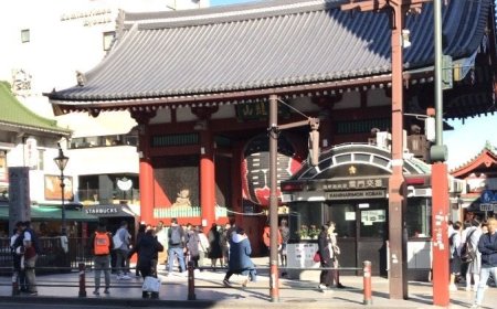 半夜突見「飛東京來回4429」驚呆了！一票人嗨爆：還好沒睡