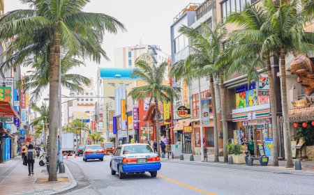 2台人赴沖繩潛水喪命　觀光署：自由行參加當地活動