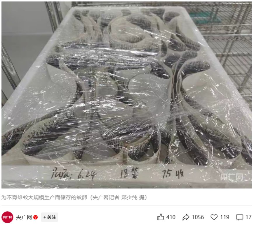 以蚊治蚊:广州释放“绝育雄蚊”对抗基孔肯雅热,周产 500 万只