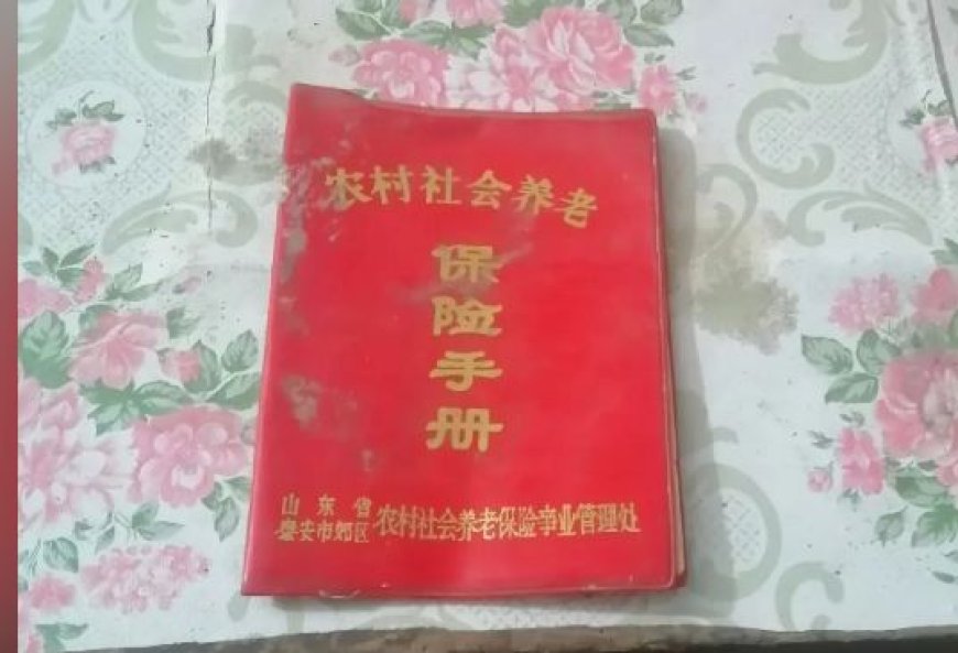 94年就开始搞社保