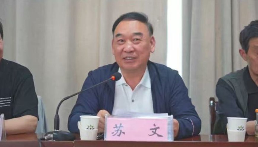 【追踪】33亿元“东坡文化”投资项目系意向合同,“东坡书院”已进入注销流程