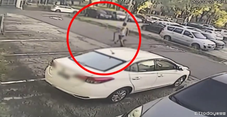 分4波開槍狙殺遛狗男！殺手最後再朝頭補1槍　2隻惡霸犬急衝回家