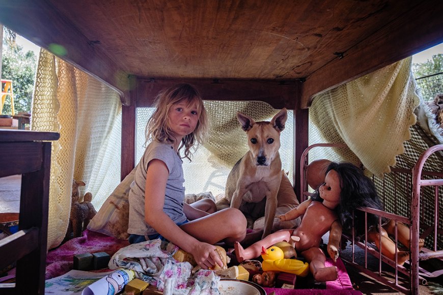 ‘Don’t Let’s Go to the Dogs Tonight’ Review: Embeth Davidtz Captures a Changing Africa Through a Child’s Eyes