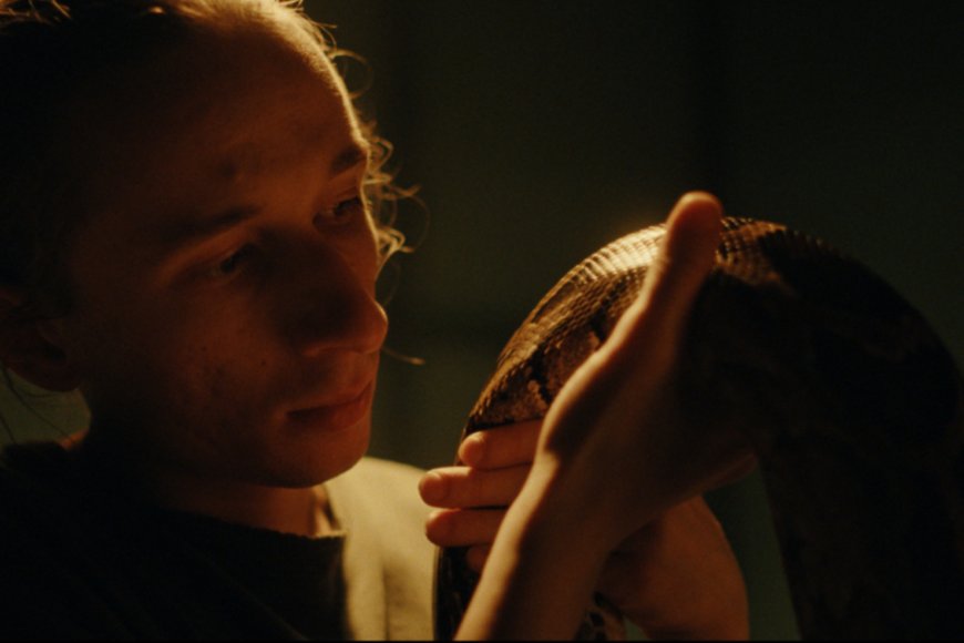 Queer Romance ‘Places Half Empty’ Explores Love and Belonging in Viktor Orbán’s Hungary, With Béla Tarr as E.P.