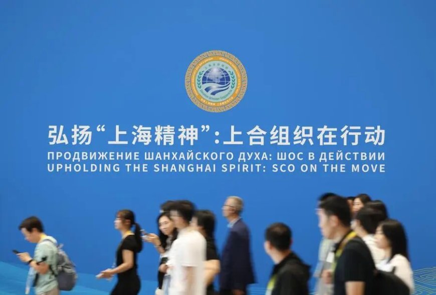 国际环境巨变,上合非但没过时,反而更被需要了