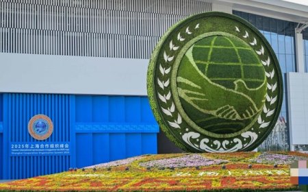 上合组织加快成立“四个安全中心”，为成员国安全提供更有力支撑