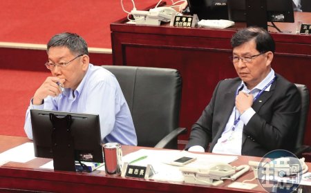 應曉薇有新罪名！　柯文哲要無罪脫身可能性低